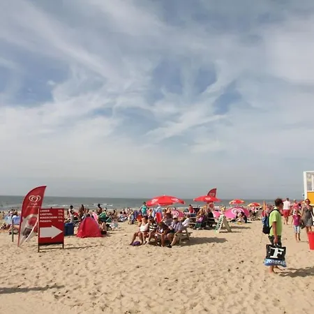 Vakantiehuis In De Duinpan