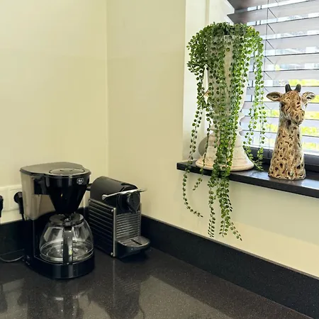 Nyaraló In De Duinpan