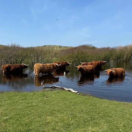 In De Duinpan Nyaraló *